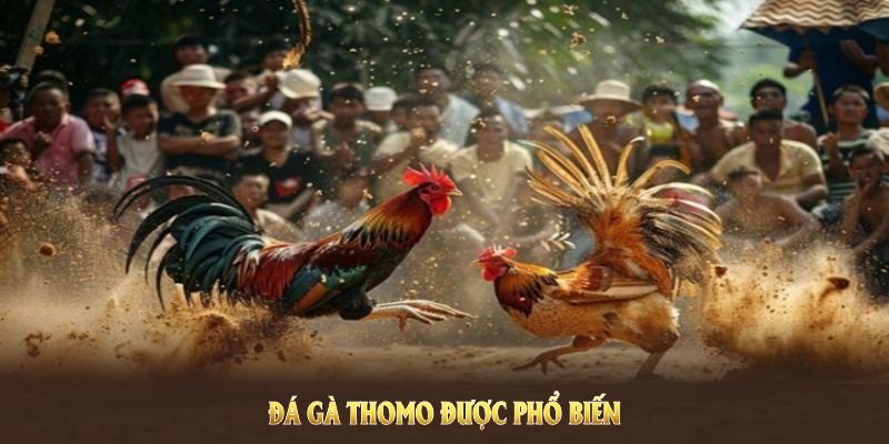 Đá Gà Thomo được phổ biến trên thị trường với 3 hình thức chính